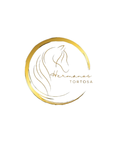 Hermanos Tortosa carruseles para ferias y eventos