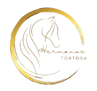 Hermanos Tortosa carruseles para ferias y eventos